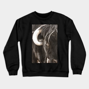 Bulls head Crewneck Sweatshirt